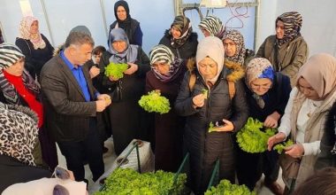 Kocaeli’nde topraksız tarıma kadın çiftçilerden yoğun ilgi