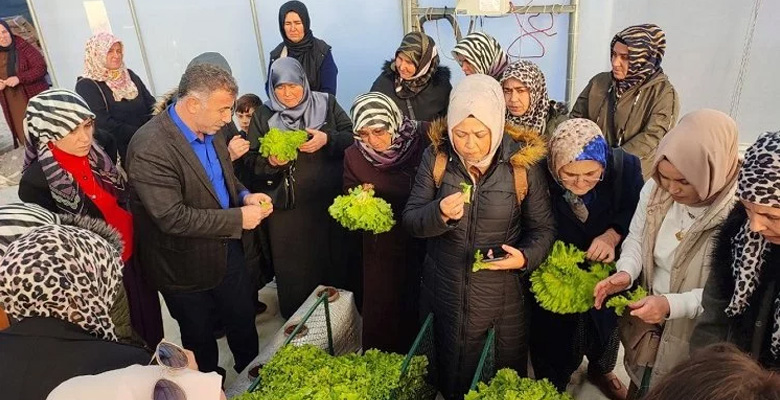 Kocaeli’nde topraksız tarıma kadın çiftçilerden yoğun ilgi