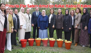 Kadınların Elleri Armut Topladı