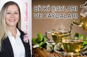 Bitki Çayları Hakkında Bilmediklerimiz