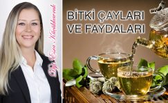 Bitki Çayları Hakkında Bilmediklerimiz