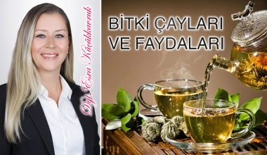 Bitki Çayları Hakkında Bilmediklerimiz